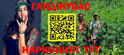 PSILOCYBIN Краснодар